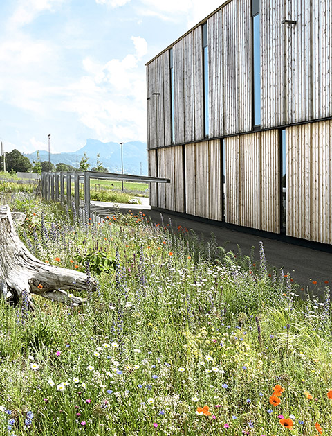 Kunert Biodiversität und Grünflächen