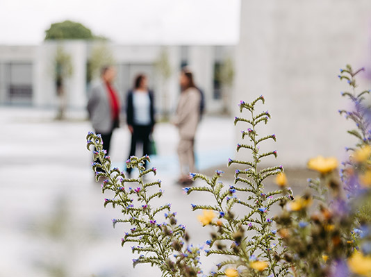 Kunert Rankweil Außen