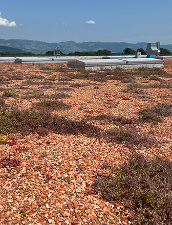 Kunert Nachhaltigkeit Dach