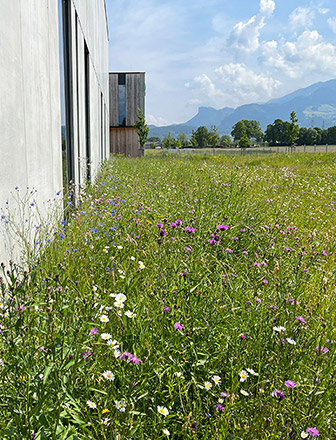 Kunert Nachhaltigkeit Wiesen